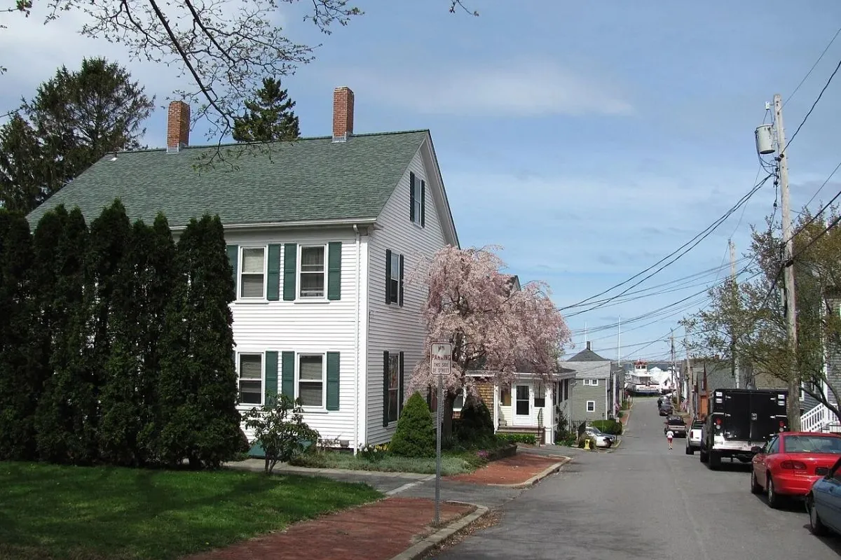 Residential street with white houses and a flowering tree